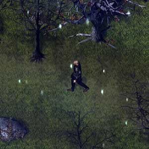 Befehlshaber jerus geht nach Hause