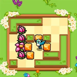 Hummingbird Garden - Vogel