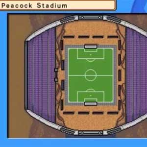 Inazuma Eleven 3 Team Ogre Attacks Nintendo 3DS Peacock Stadium