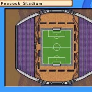 Inazuma Eleven 3 Team Ogre Attacks Nintendo 3DS Peacock Stadium