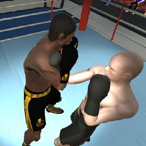 International Boxing - Blocken