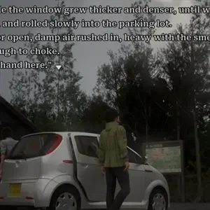 Jukai Maze - Parkplatz