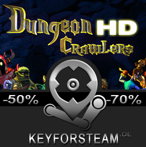 Dungeon Crawlers HD Pc