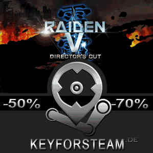 Raiden 5 Director's Cut Pc
