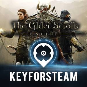 The elder Scrolls online Teso CD Key kaufen - Preisvergleich ...