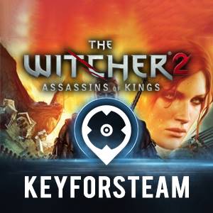 The Witcher 2: Assassins of Kings - Alle Versionen im Überblick