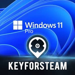 www.keyforsteam.de