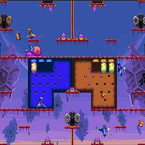 den Sieg beanspruchen