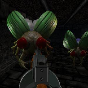 Killing Time Resurrected - Insekten