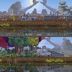 Flut neuer Reittiere