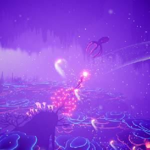 Koral - Meeresströmung