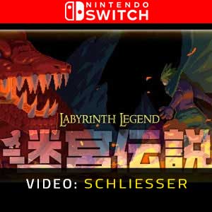 Labyrinth Legend Nintendo Switch - Trailer