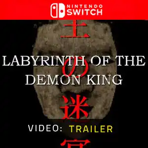 Labyrinth Of The Demon King Nintendo Switch - Video-Trailer
