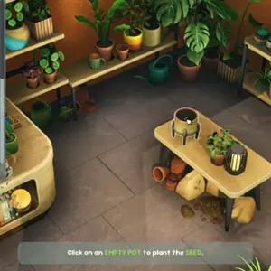 Leafy Corner - Pflanzen