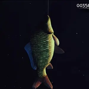 Loan Shark - Karpfen