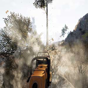 Bäume physisch simuliert