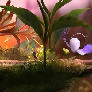 Mari and Bayu - The Road Home - Pflanze