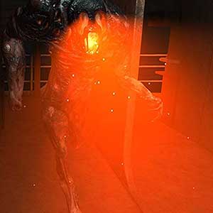 zahlreiche Fallen auf dem Weg