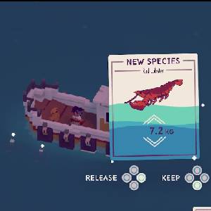 Moonglow Bay - Neue Arten