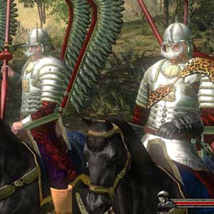 Mount Blade Collection Soldat