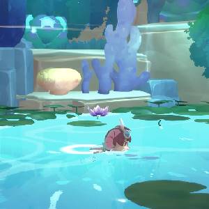 Muri: WildWoods - Schwimmen