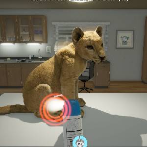 My Life: Zoo Vet - Löwenjunges