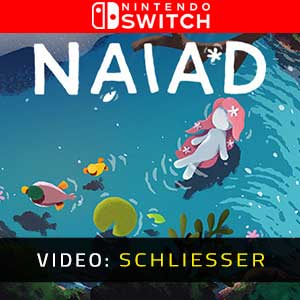 NAIAD Nintendo Switch- Anhänger