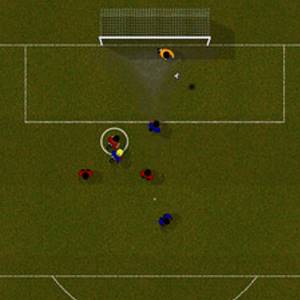 Natural Soccer Ansicht von oben