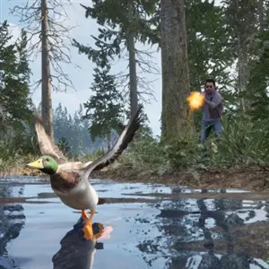 Online 404 - Entenjagd