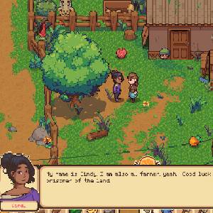 Orange Season - Cindy