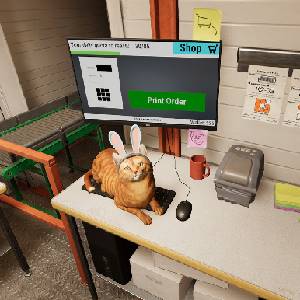 ORDER 13 - Orange Cat
