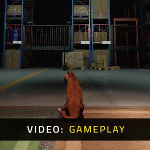 ORDER 13 - Gameplay Video