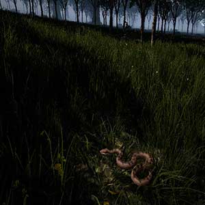 Outback Survival Key kaufen Preisvergleich