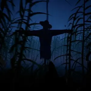 Outfield - Vogelscheuche