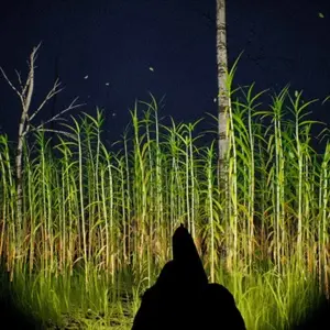Outfield - Waffe