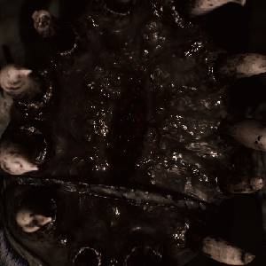 Oxide Room 208 – Kreatur