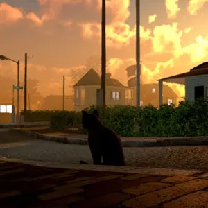 Peace Island - Straße