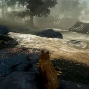 Peace Island - Landschaft