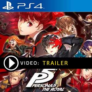 Persona 5 Royal PS4 Prices Digital or Box Edition