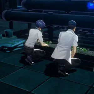 Persona 6 - Dachgartenarbeit