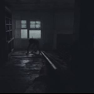 Pine Harbor - Schrotflinte