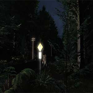 Pineview Drive
