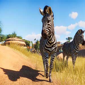 Planet Zoo Zebra