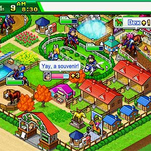 Pocket Stables - Benutzeroberfläche