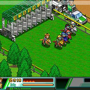 Pocket Stables - Pferderennen