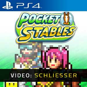 Pocket Stables Playstation 4