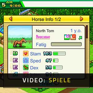 Pocket Stables - Spielverlauf