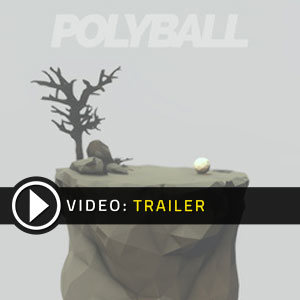 Polyball Key Kaufen Preisvergleich
