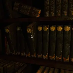 Portrait of a Torn – Bücher