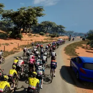 Pro Cycling Manager 25 - Draufsicht